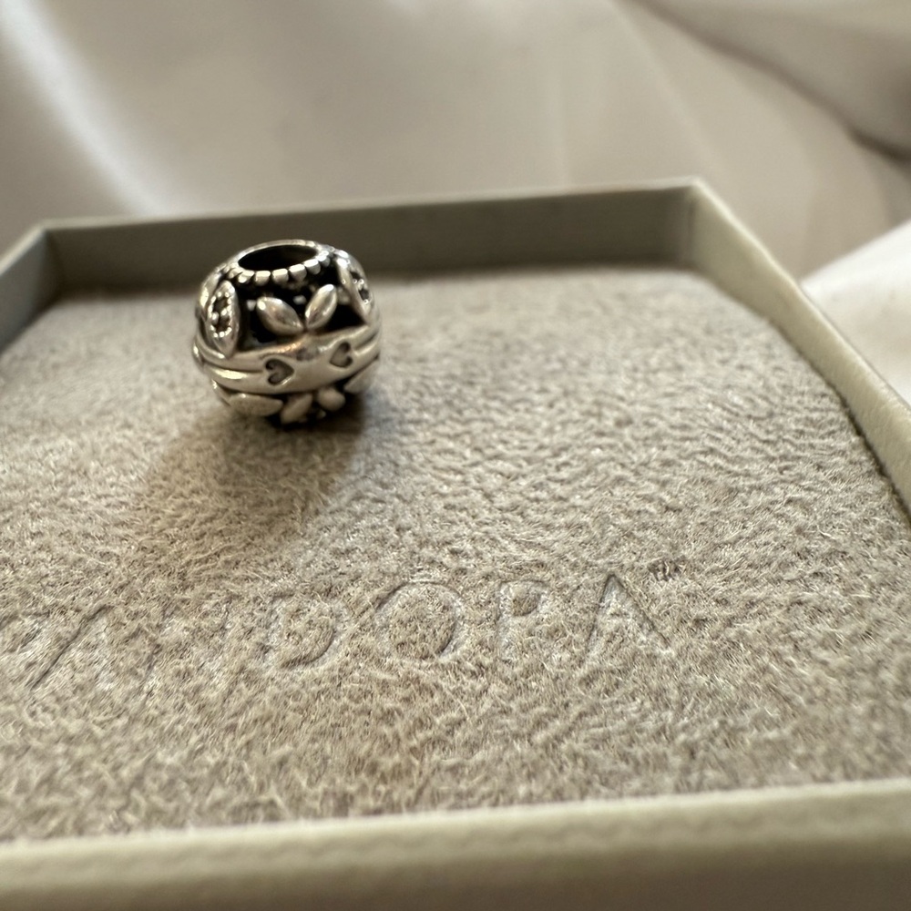 Pandora Intricate Silver Charm